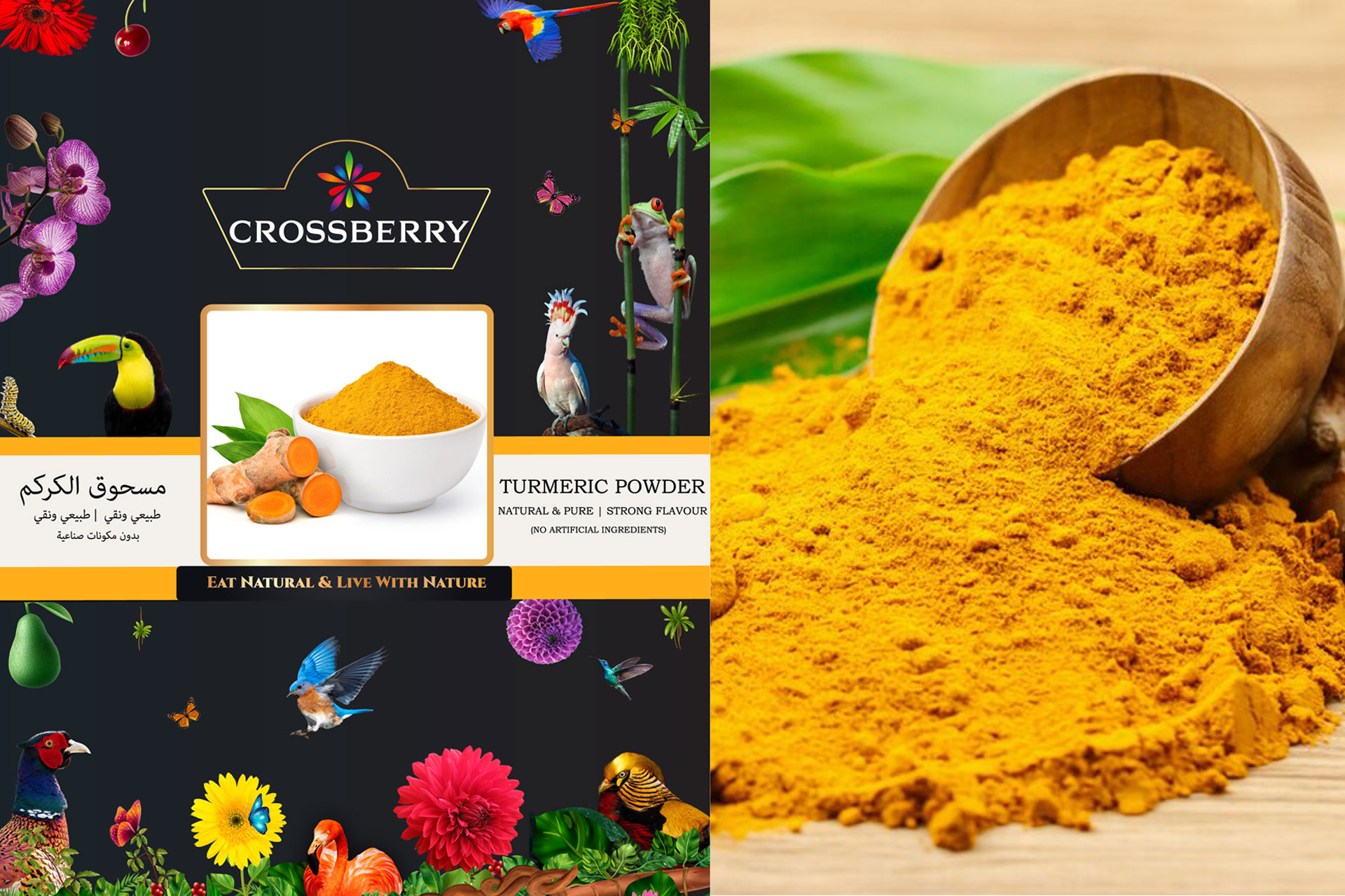 Turmeric Curcumin