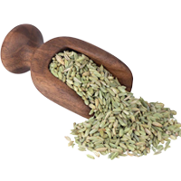 Fennel Seed Powder