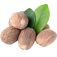 Nutmeg Powder